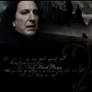 The Half-Blood Prince