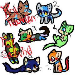 Cats adoptables