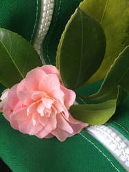 Camellia on Bus (3)