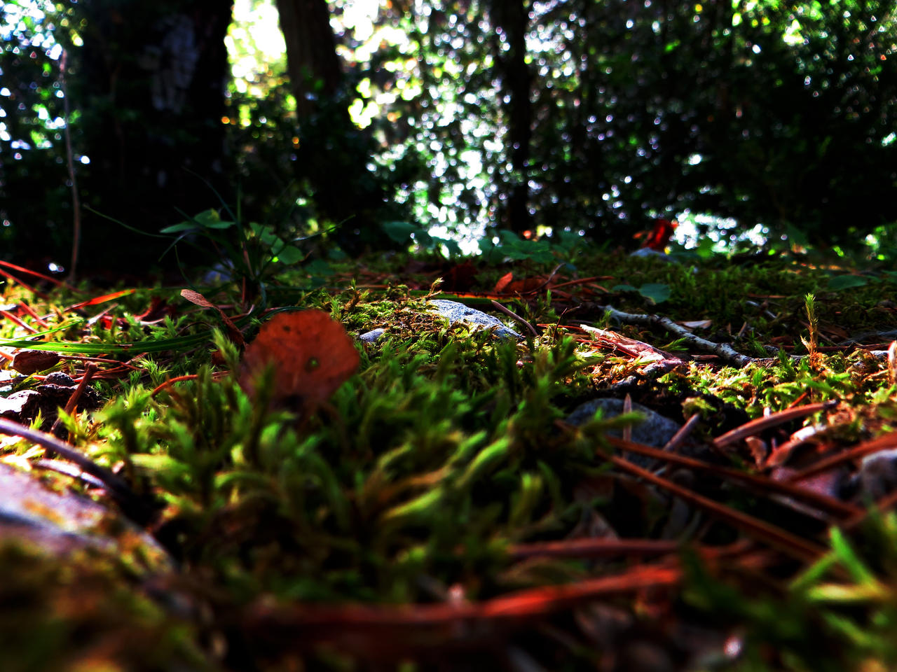 Breathing Undergrowth