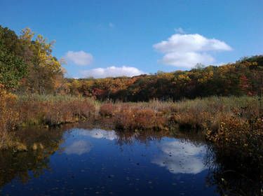 Cranberry Lakes Preserve 1