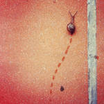 Just Crawling. by cookiesANDcreamm