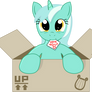 Lyra in a box
