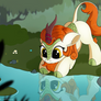 Autumn Blaze