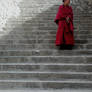 tibet -- young monk on stairs
