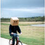 Box bike rider