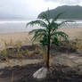 Palm tree in the beach