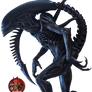 (Xenomorph)  Alien Render