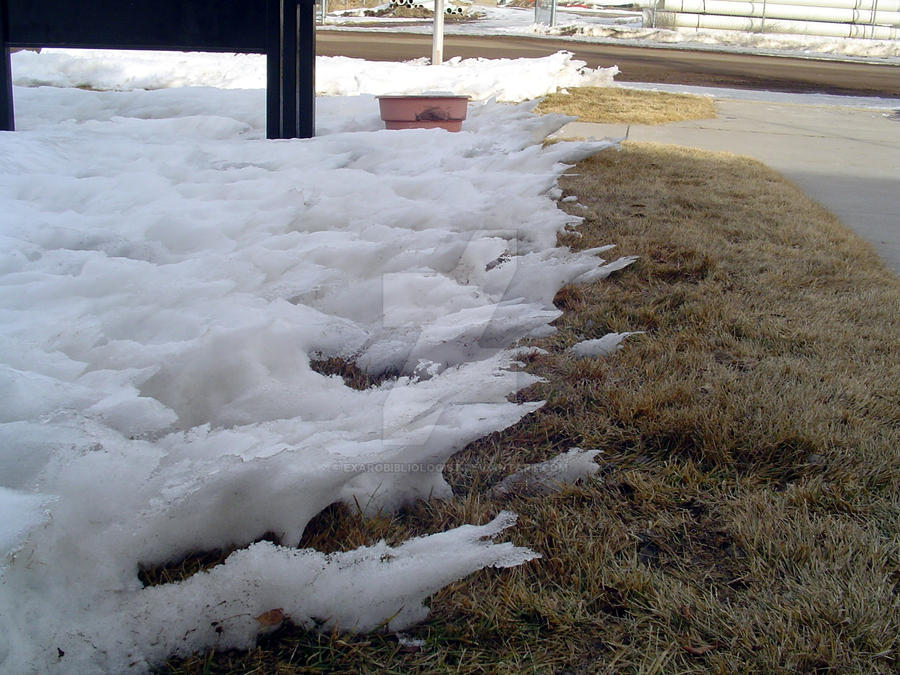 Ice Shelves 2