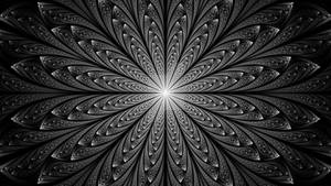Negative Space