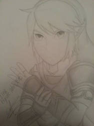 Link Hyrule Warriors