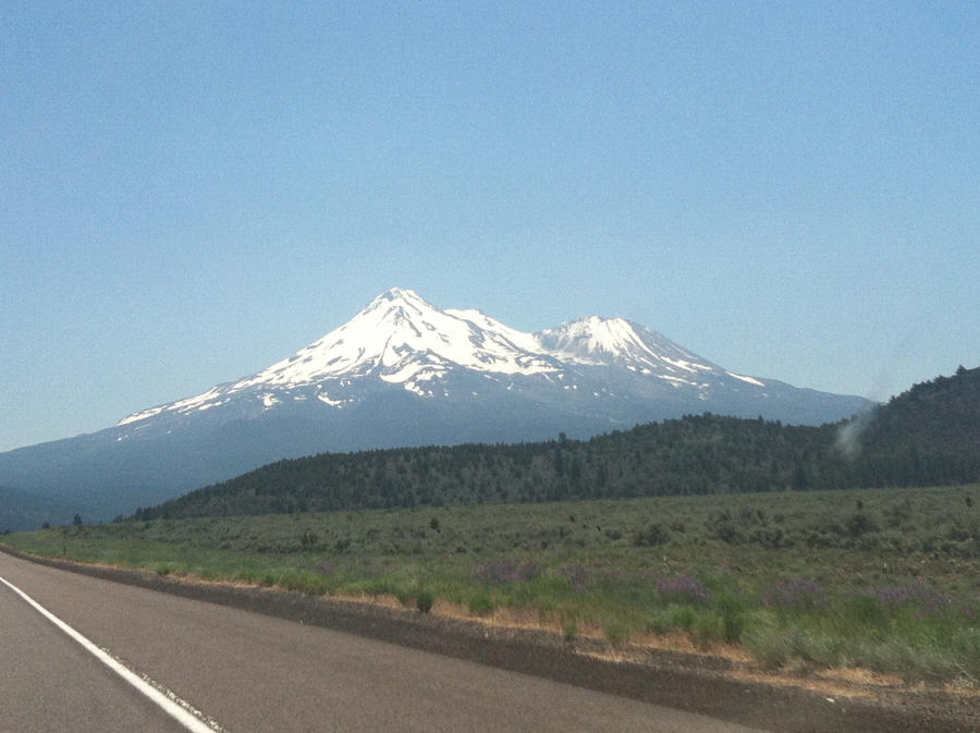 Shasta by MagicalDumpling420 on DeviantArt Shasta by MagicalDumpling420 on DeviantArt