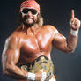 Randy Savage