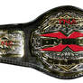 TNA X Division Championship Title