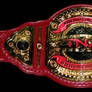 TNA Knockout Tag Team Championship Title