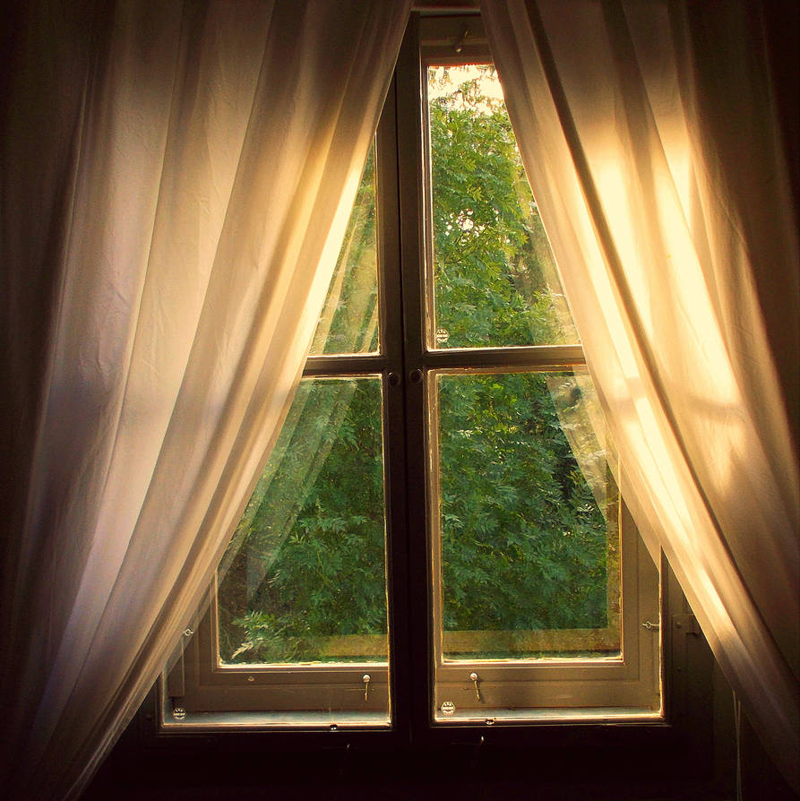 Window view on a green tree by Solorider170 on DeviantArt