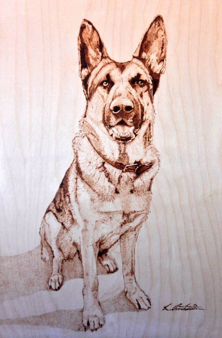 Alsatian dog! Pyrography by LUKAS-87 on DeviantArt