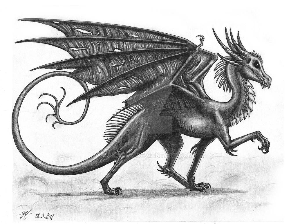 Shadow Dragon by Larua on DeviantArt