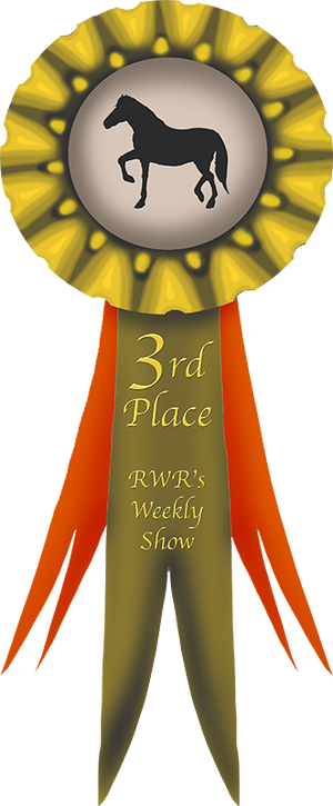 3rd Place Ribbon