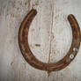 Horse Shoe