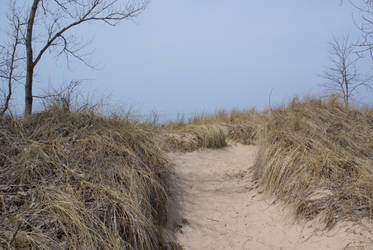 Beach Path