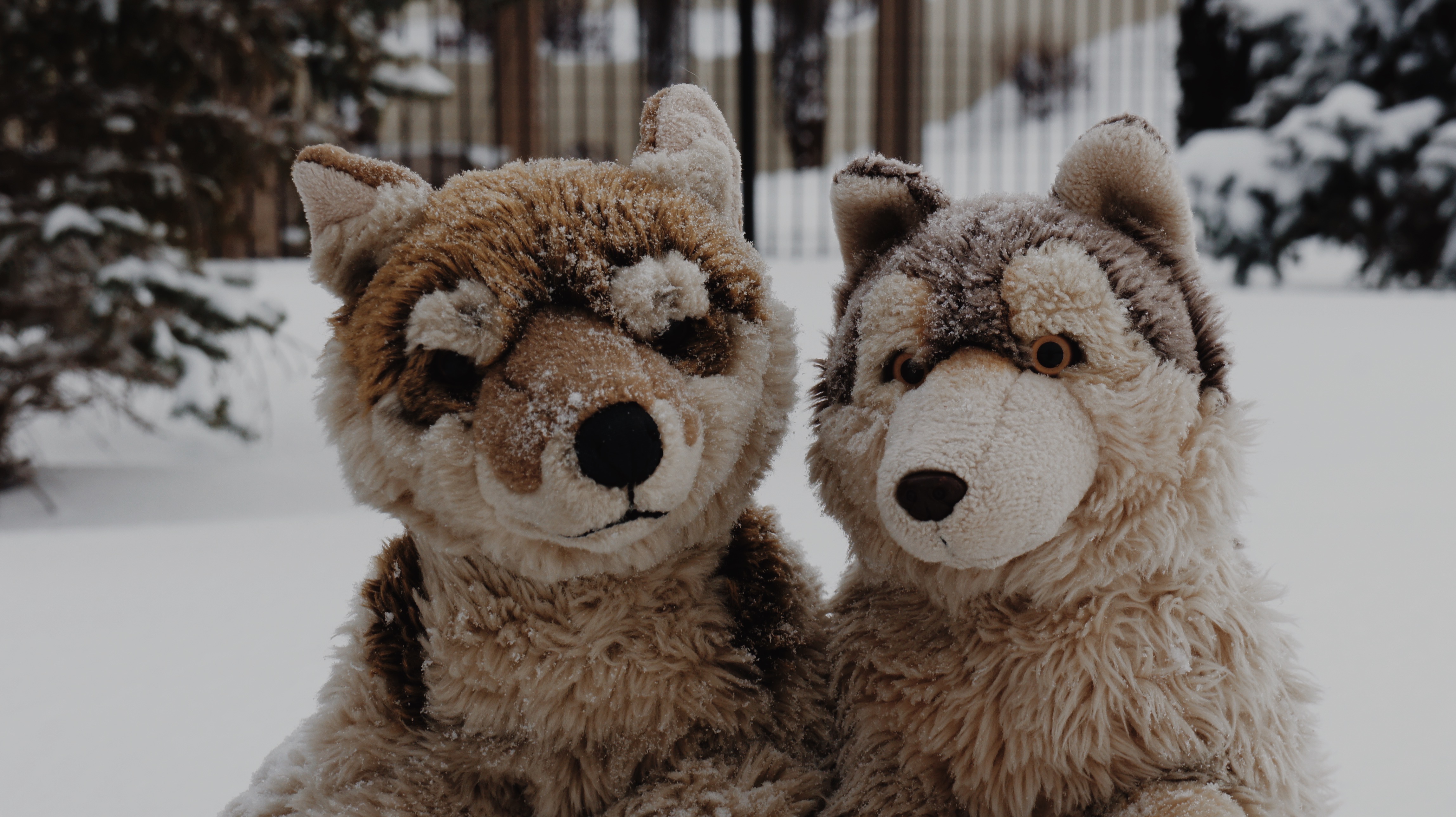 FAO Wolf and WWF Wolf large by Teakinz on DeviantArt