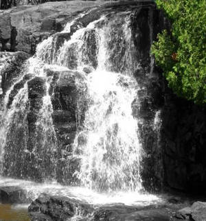 gooseberry falls