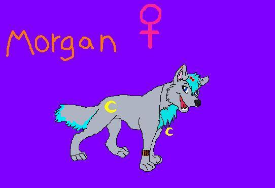 Morgan the wolf