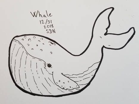 inktober whale