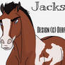 Jackson, A Red Paint Mustang Stallion