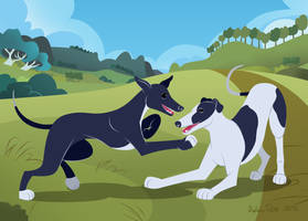 Greyhounds playing
