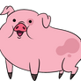 A pig