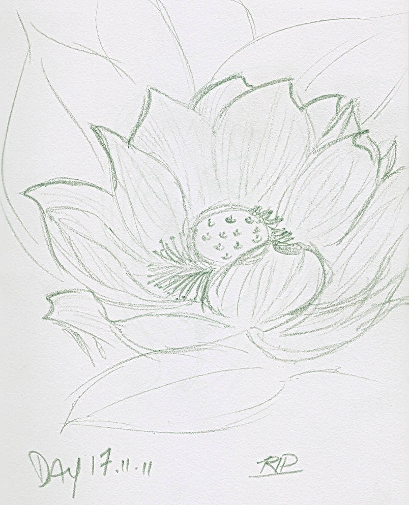 +30 Day Challenge+ Day 17 by Coin-Trip39 on DeviantArt