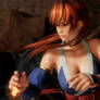 inGamePhotography - DOA6