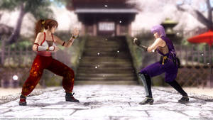 DOA5 PhotoRetouching