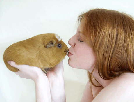 Magical Guinea Pig Kiss