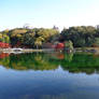 Tokugawa Park - Lake