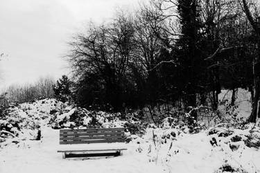 Winter Bench