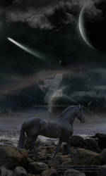 Friesian_Night