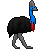 Free cassowary icon