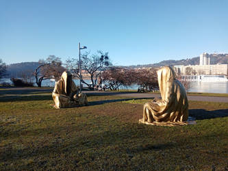 2020 Golden void monks at danube Linz Austria