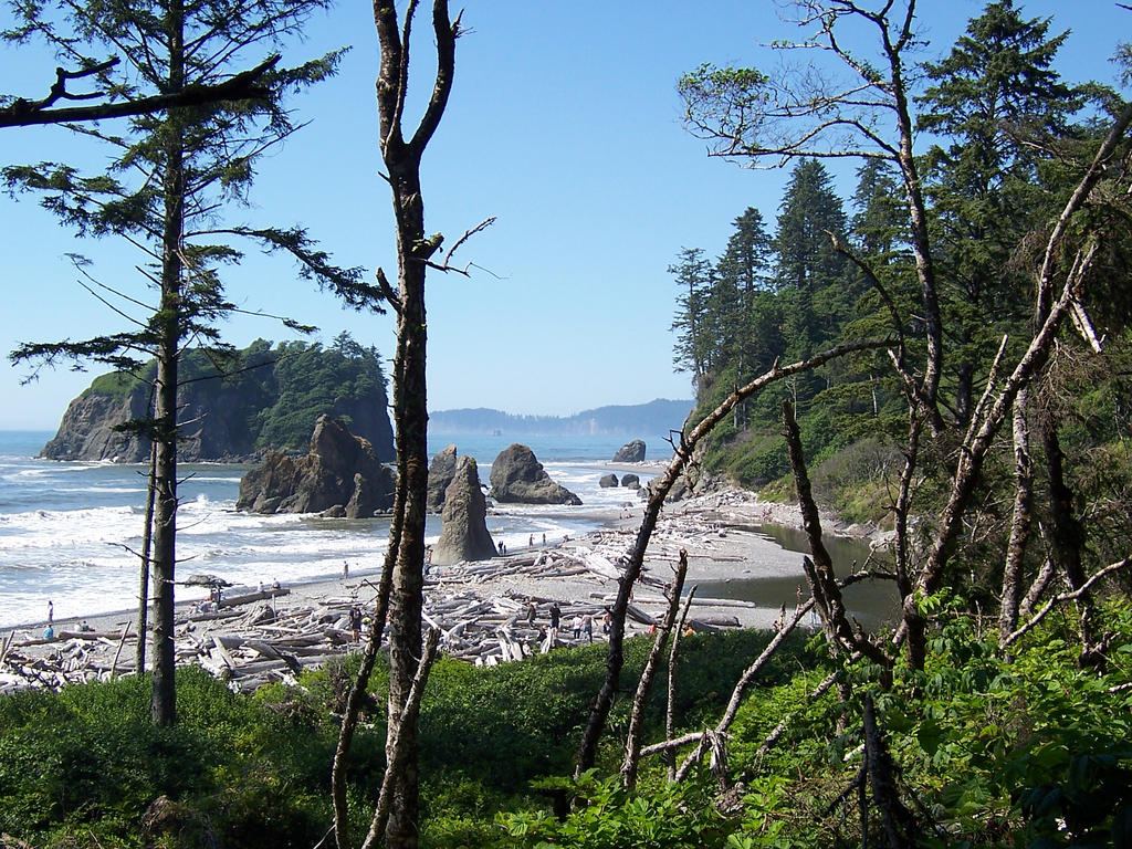 Ruby Beach II