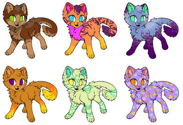 $5 Kitty Adopts!