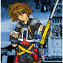 KH2 Sora ver 0.421