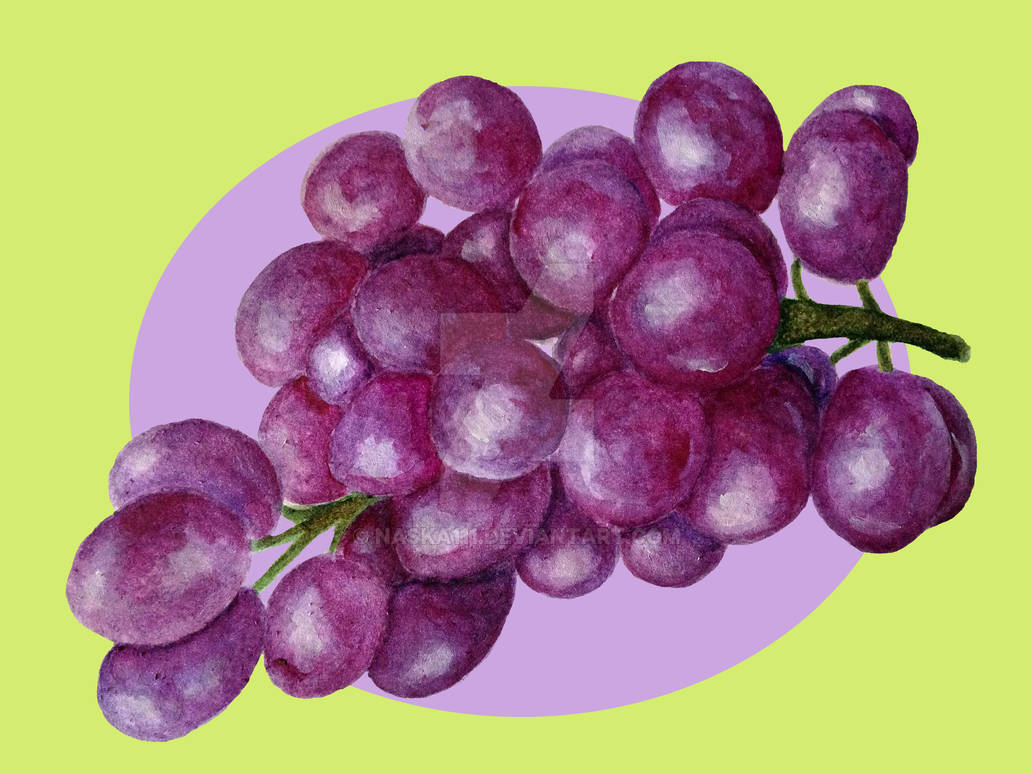 Grape by Naska111 on DeviantArt