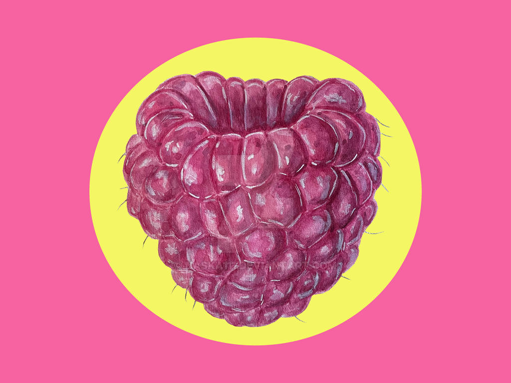 Sassy Raspberry Raspberry by Naska111 on DeviantArt
