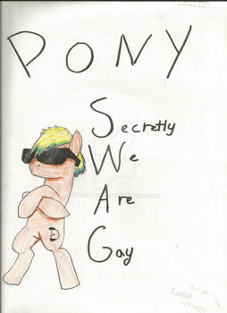 Pony Swag