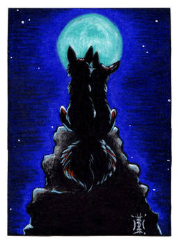 ACEO -Fox Love-