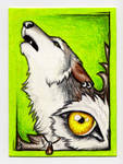 ACEO -Yellow Eyes- by CrescentMoon