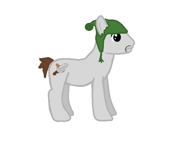 Finland pony